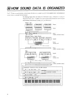 Предварительный просмотр 50 страницы Roland S-770 Owner'S Manual