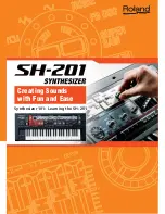 Roland SH-201 Manual предпросмотр