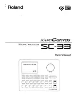 Preview for 1 page of Roland Sound Canvas SC-33 Owner'S Manual