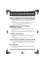 Preview for 19 page of Roland Space Echo RE-20 Owner'S Manual