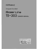 Roland TD-303 Owner'S Manual preview