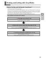 Предварительный просмотр 63 страницы Roland TrueVIS SG-300 User Manual