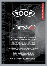 Roof RO31 DESMO How To Use And Maintain preview