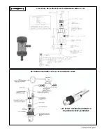 Preview for 7 page of Rosemount Analytical TUpH 396 Product Data Sheet