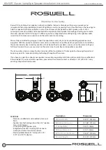 Preview for 2 page of Roswell Classic Vamp Spin Speakers Installation & Usage Instructions