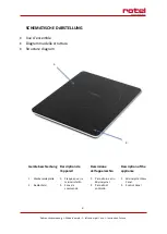 Preview for 2 page of Rotel 1119CH Instructions For Use Manual