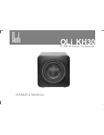 Preview for 1 page of Roth Audio OLi KH30 Owner'S Manual