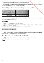 Предварительный просмотр 44 страницы Rowenta Steampower Safety Instructions