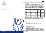 Предварительный просмотр 5 страницы Royal Catering RCHG-11E User Manual