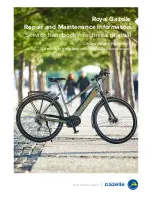 Royal Gazelle CityZen Speed Powertube Service Handbook/Technical Manual preview