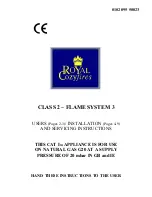 Royal Gas Fire User Manual preview