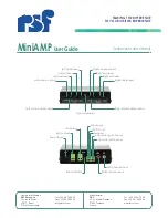 Предварительный просмотр 2 страницы RSF Europe MiniAmp User Manual