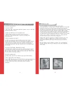 Preview for 11 page of RSF Woodburning Fireplaces SpotDAP450 User Manual