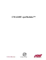 Предварительный просмотр 3 страницы rtd cpuModules CMA24BT User Manual