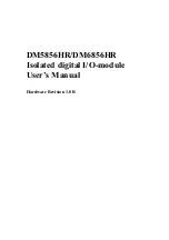 Предварительный просмотр 1 страницы rtd DM5856HR User Manual