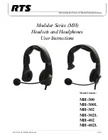 RTS MH-300 User Instructions предпросмотр