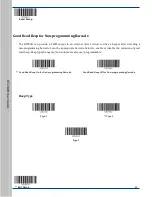 Предварительный просмотр 40 страницы RTscan RT230H User Manual