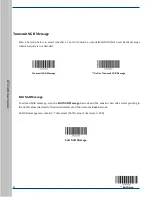 Предварительный просмотр 45 страницы RTscan RT350H User Manual