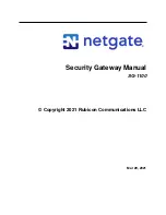 Rubicon netgate SG-1100 Manual предпросмотр