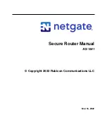 Rubicon netgate XG-1541 Manual предпросмотр