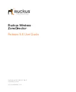 Ruckus Wireless ZoneDirector 3000 User Manual preview