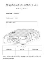 Ruihua PS1002 Manual preview