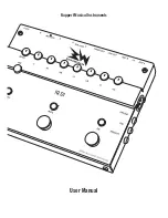 Rupert Musical Instruments Basswitch IQ DI User Manual предпросмотр