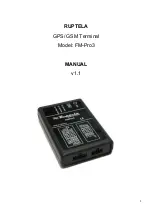 RUPTELA FM-Pro3 Manual Manual preview