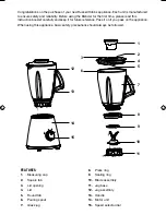 Preview for 4 page of Russell Hobbs RHBL1 Instructions & Warranty