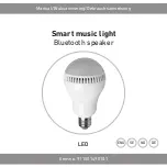 RUSTA Smart music light Manual предпросмотр