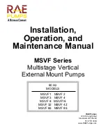 Preview for 1 page of RUTHMAN RAE PUMPS MSVF 1 Installation, Operation And Maintenance Manual