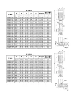 Preview for 12 page of RUTHMAN RAE PUMPS MSVF 1 Installation, Operation And Maintenance Manual