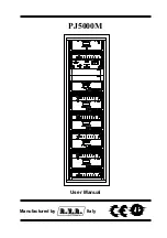 Preview for 1 page of RVR Solar PJ5000M User Manual