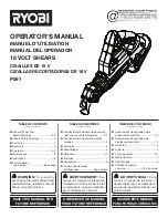 Ryobi 301913871 Operator'S Manual предпросмотр