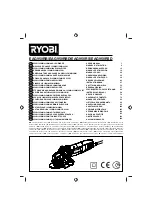 Preview for 1 page of Ryobi EAG950RB User Manual