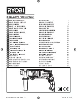 Preview for 1 page of Ryobi ERH-650V User Manual