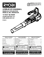 Предварительный просмотр 1 страницы Ryobi P21011 Operator'S Manual