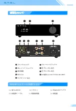 Preview for 19 page of S.M.S.L AO100 User Manual