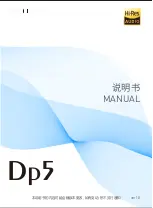 S.M.S.L Dp5 Manual preview