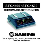 Preview for 1 page of SABINE STX-1100 Manual