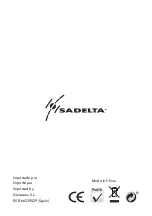 Preview for 20 page of Sadelta SPS-2025 User Manual