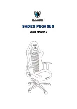 Предварительный просмотр 1 страницы SADES PEGASUS User Manual