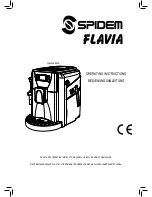 Saeco Spidem Flavia Operating Instructions Manual предпросмотр