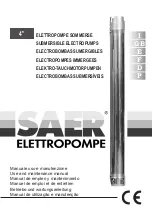 SAER Elettropompe FF98 Use And Maintenance Manual preview