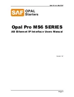 SAF OPAL Ethernet IP Interface MS6 SERIES User Manual preview