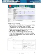 Предварительный просмотр 29 страницы SAF CFIP PhoeniX C Technical Description