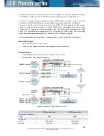 Предварительный просмотр 109 страницы SAF CFIP PhoeniX C Technical Description