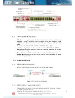 Предварительный просмотр 8 страницы SAF CFIP PhoeniX Series Configuration Manual