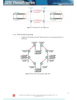 Preview for 10 page of SAF CFIP PhoeniX Series Configuration Manual