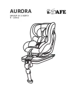 Safe Aurora Manual preview